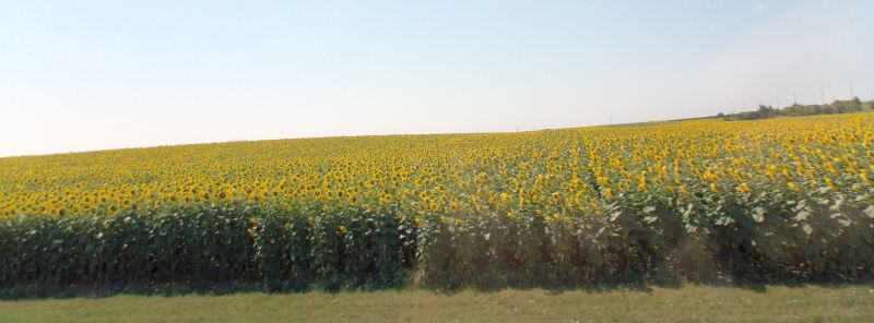 09