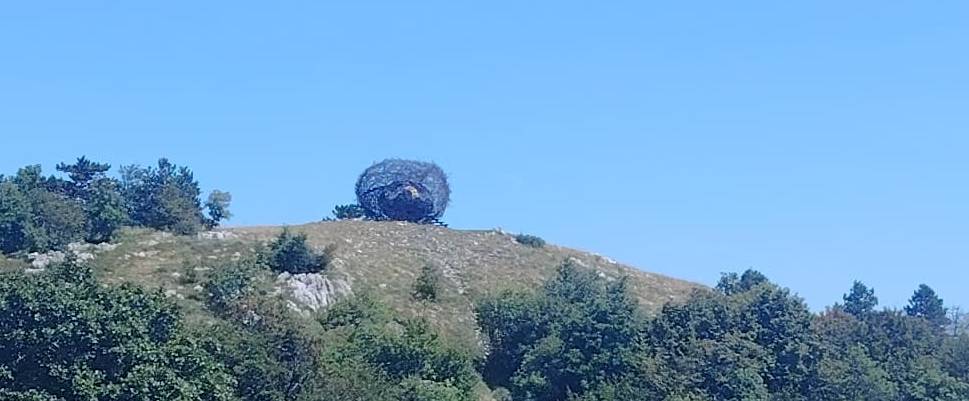 gnjezdo